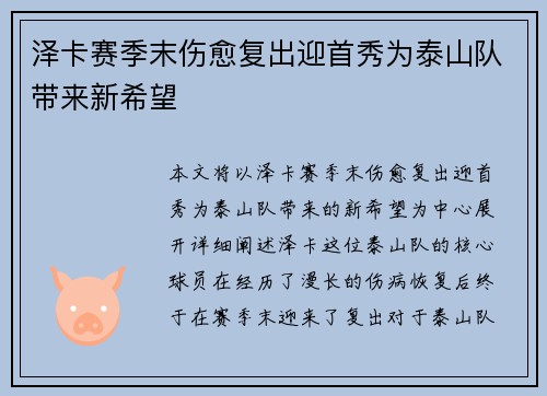 泽卡赛季末伤愈复出迎首秀为泰山队带来新希望